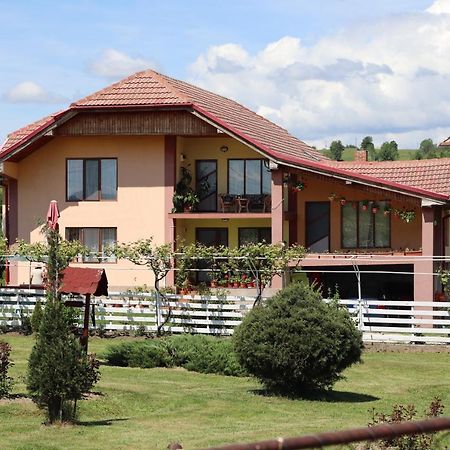 Casa De Vacanta Madalina Novaci-Străini Εξωτερικό φωτογραφία