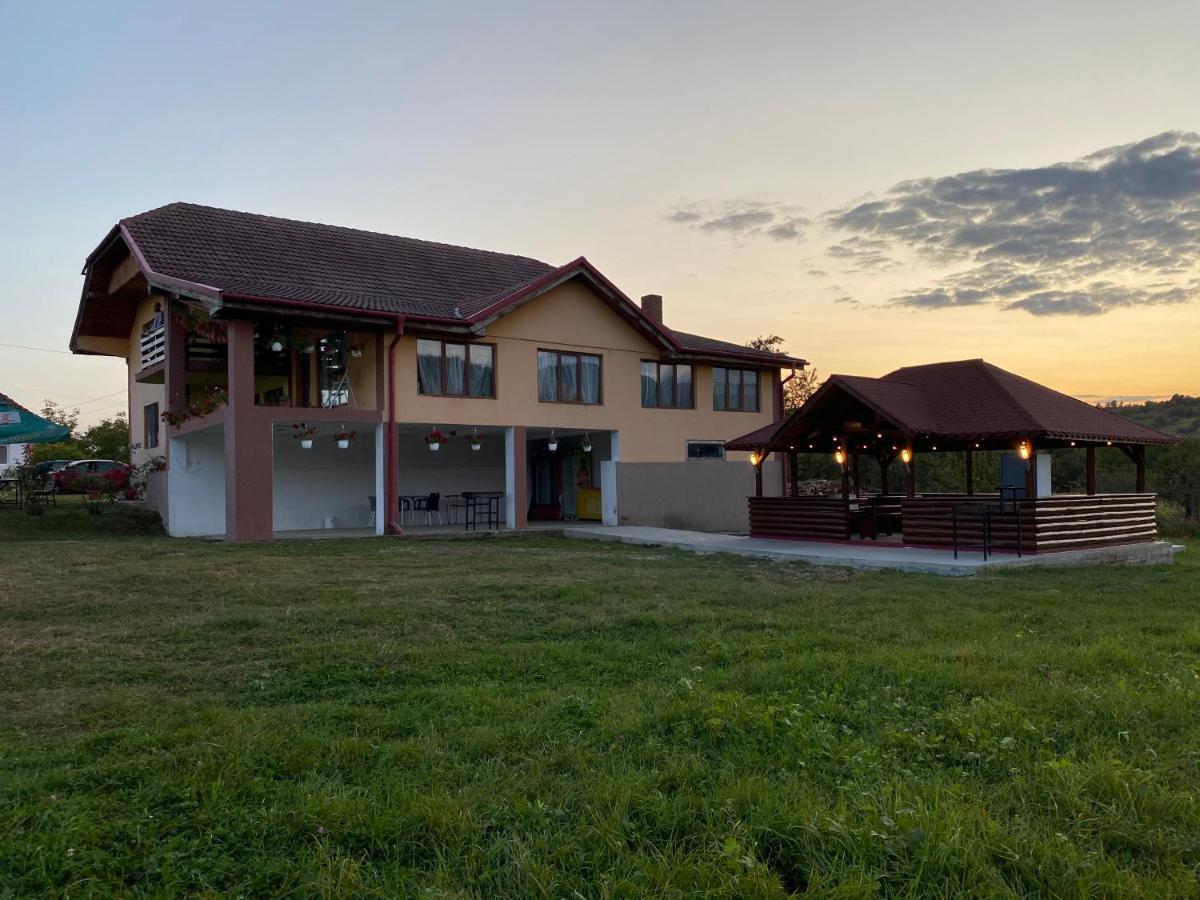 Casa De Vacanta Madalina Novaci-Străini Εξωτερικό φωτογραφία