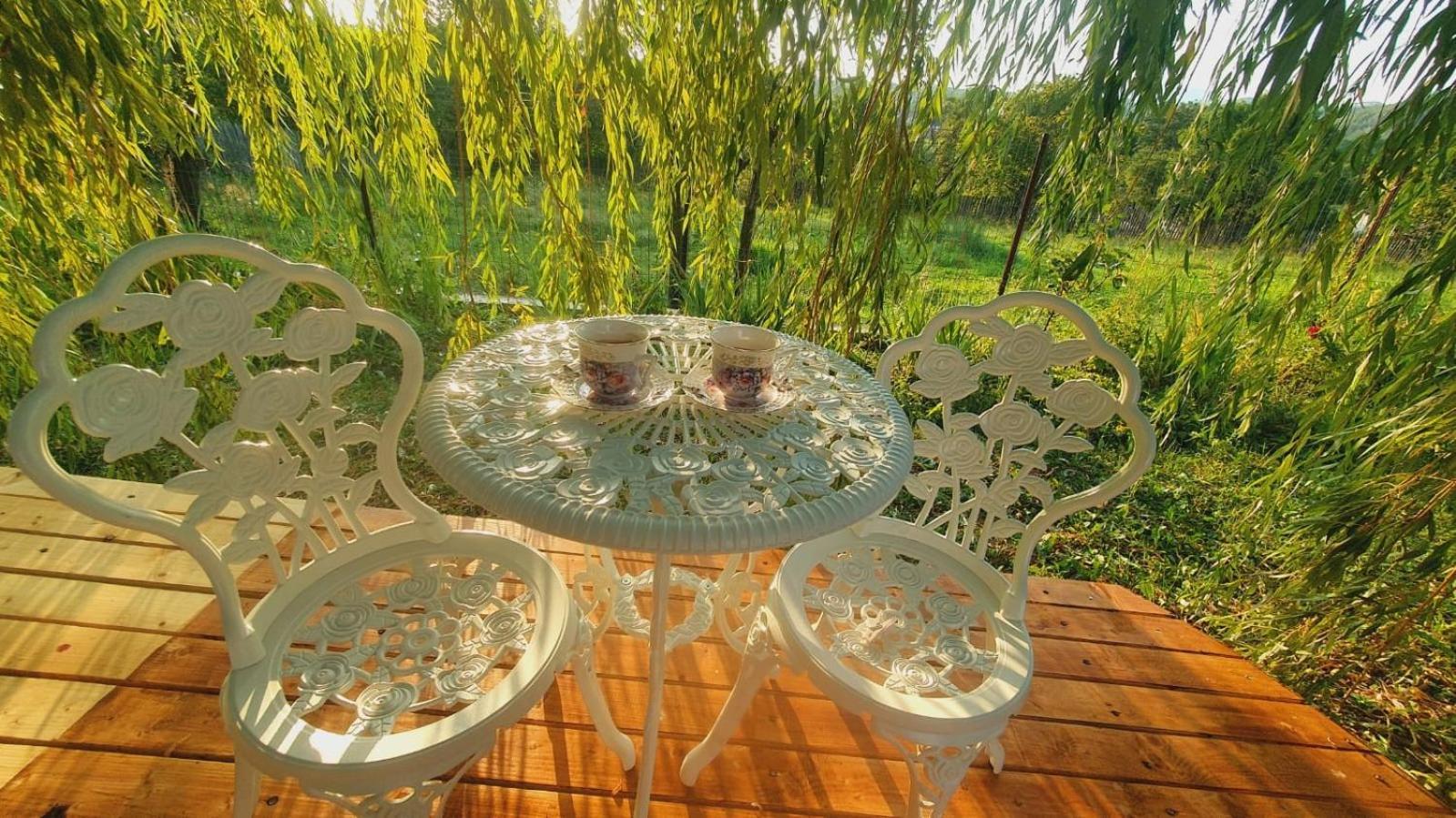 Casa De Vacanta Madalina Novaci-Străini Εξωτερικό φωτογραφία
