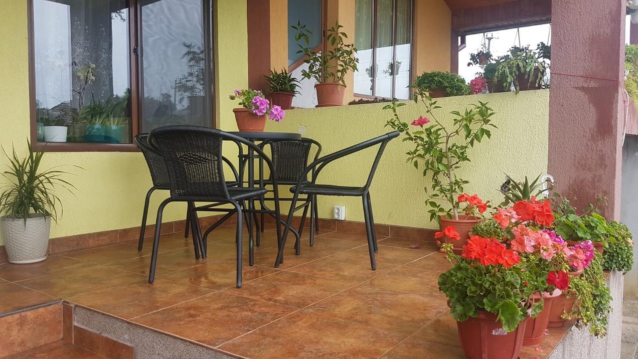 Casa De Vacanta Madalina Novaci-Străini Εξωτερικό φωτογραφία