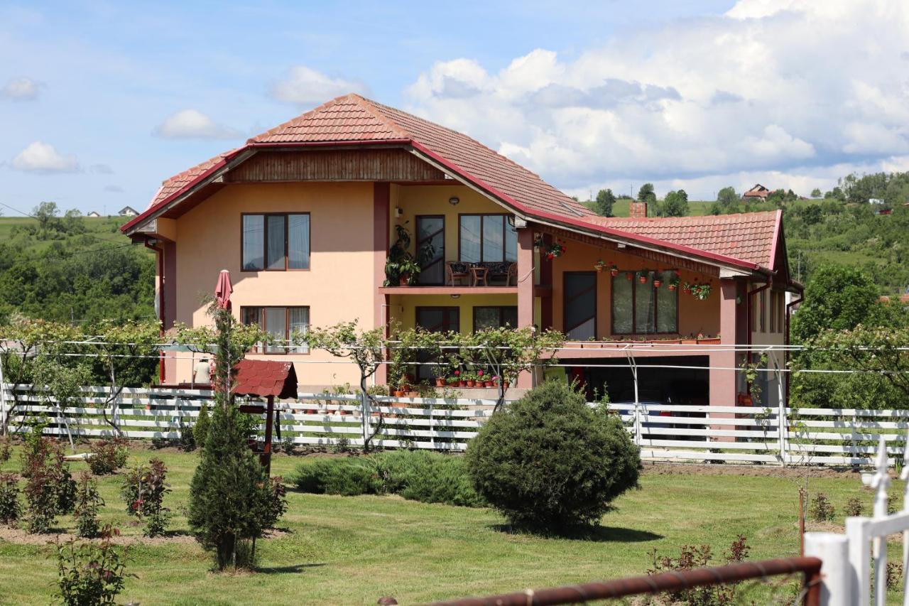 Casa De Vacanta Madalina Novaci-Străini Εξωτερικό φωτογραφία